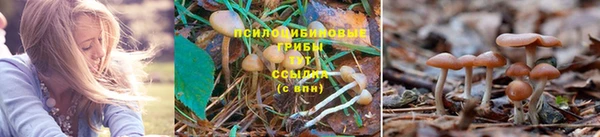 бутират Армянск