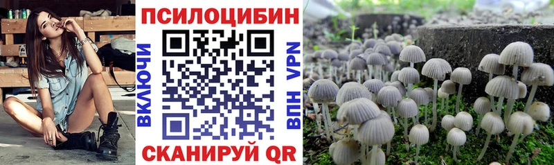 МЕГА ссылки  Певек  Псилоцибиновые грибы Psilocybine cubensis 